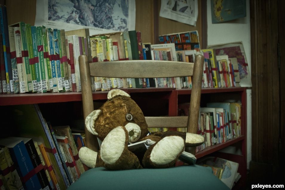 Library teddy bear