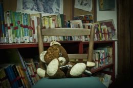 Library teddy bear