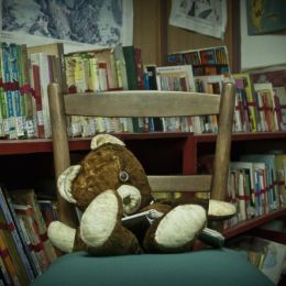 Libraryteddybear