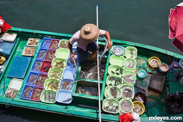 Fresh fish for sale