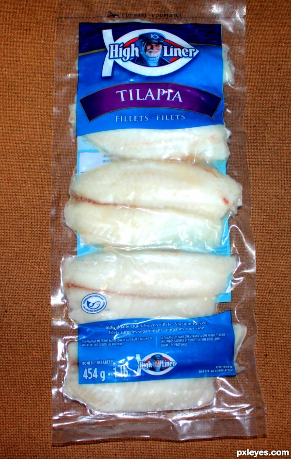 Tilapia in captivity