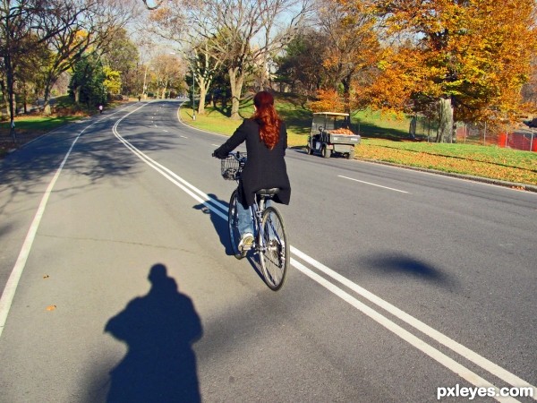 Peddling in Central Park