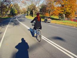 Peddling in Central Park