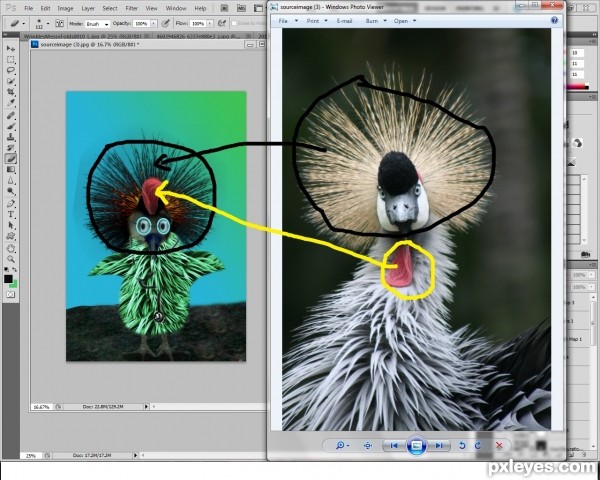 Creation of Dr.Bird: Step 2