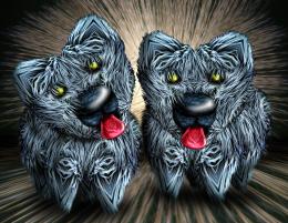 Blue Yorkies