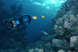 Underwater Exploration