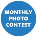 extreme close up photography contest