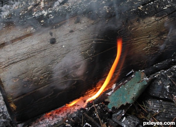 Burning Log