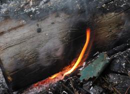 Burning Log