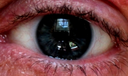 Eye is the window to the world 