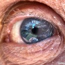 eye beauty 3 photography contest