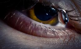 Sadeye