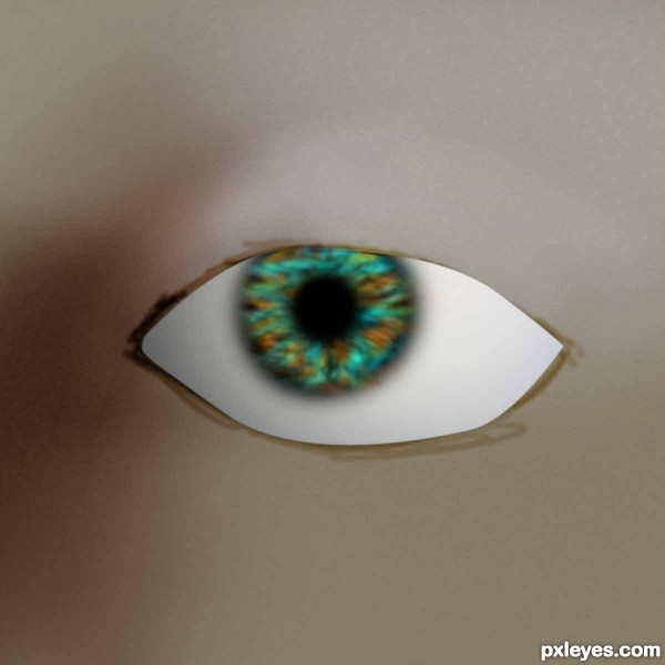 Creation of Eye : Step 15