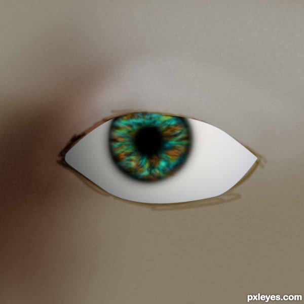 Creation of Eye : Step 16