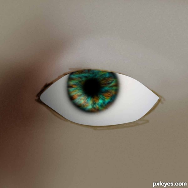Creation of Eye : Step 18