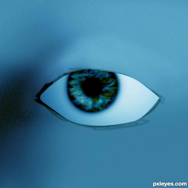 Creation of Eye : Step 19