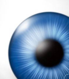Creation of one eyeball: Step 13