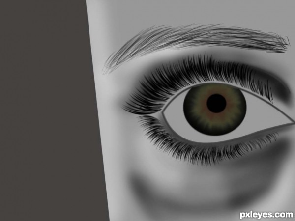 Creation of Look: Step 7