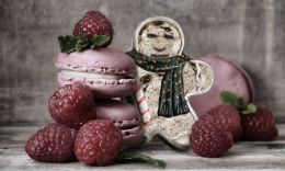 Moldy Gingerbread Man with Raspberry Macrons