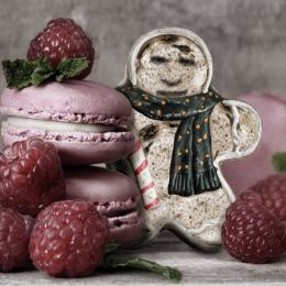 MoldyGingerbreadManwithRaspberryMacrons