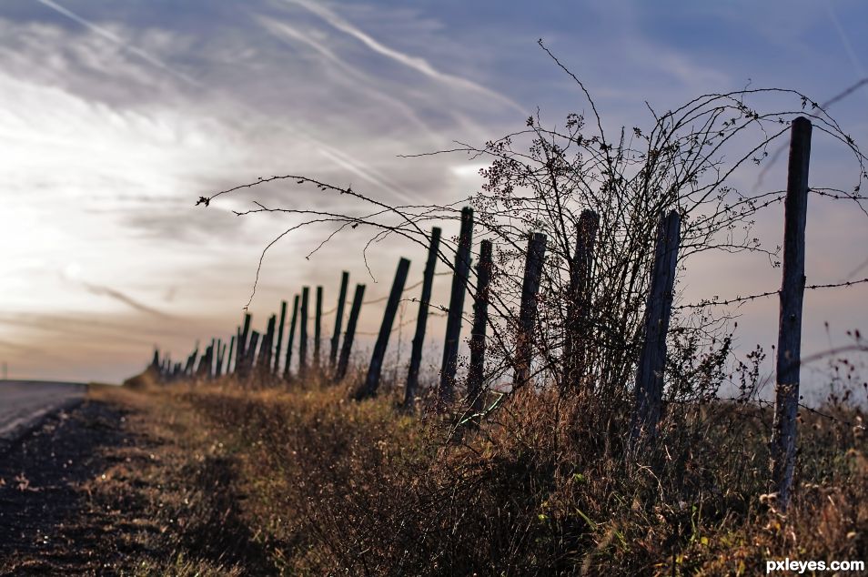 Fence