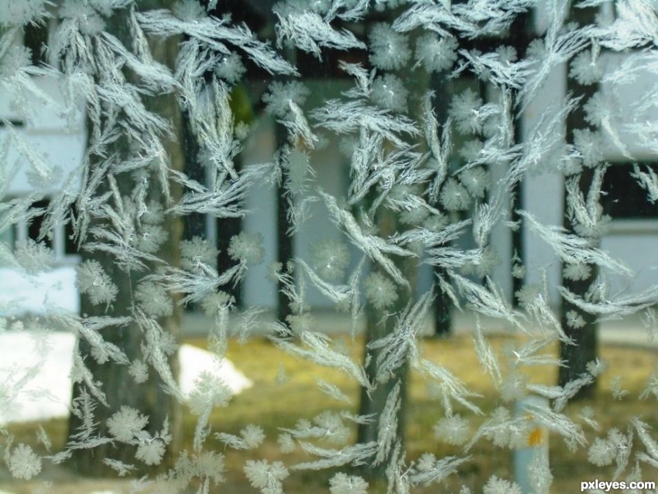 Frost on the car glass