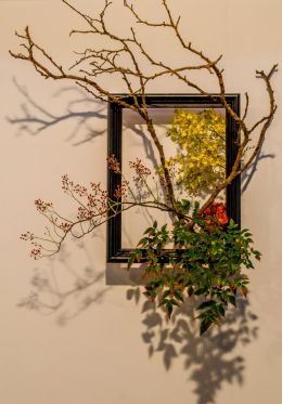 Framed Floral art