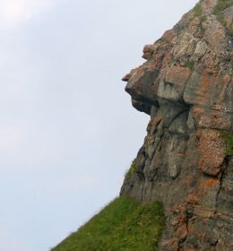 The gaze 