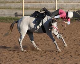 Horseriding....