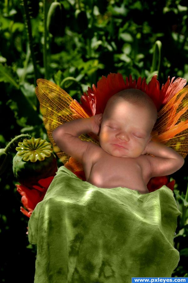 Napping Fairy 