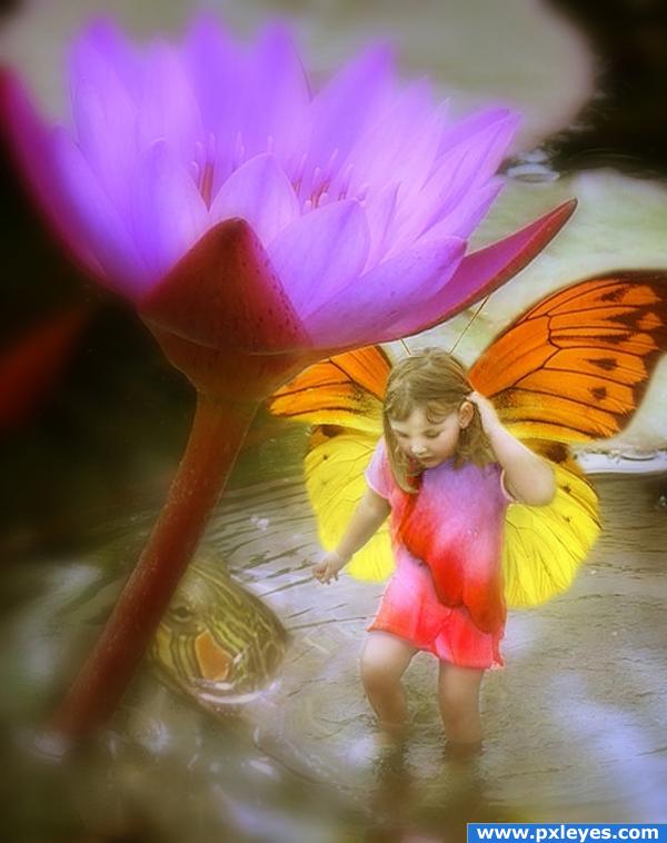 Fairy in the Lotus Pond