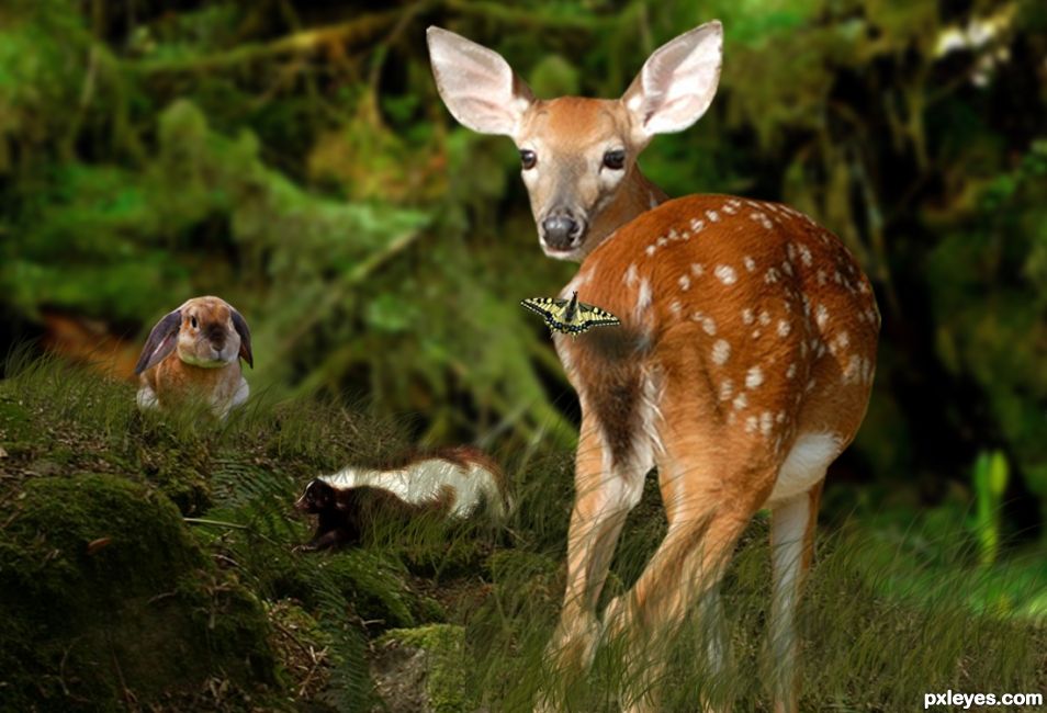 BAMBI and friends