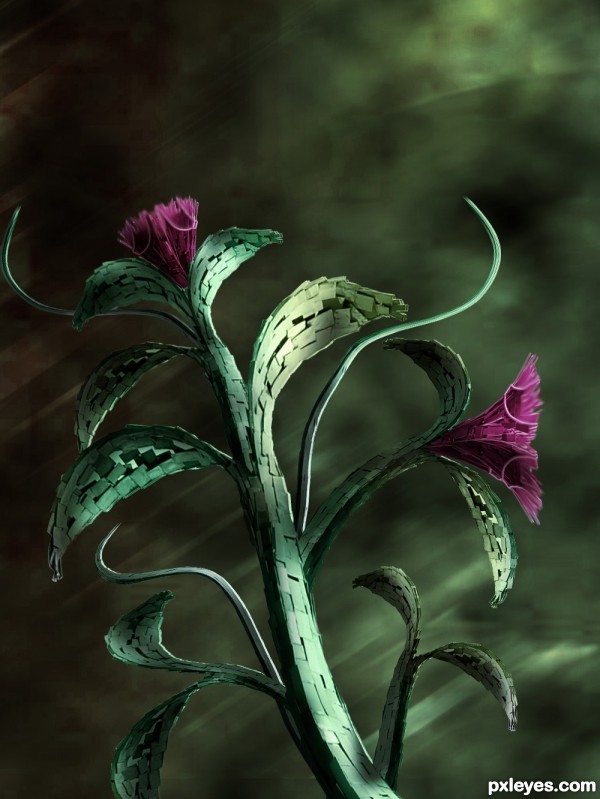 Strange flower photoshop picture