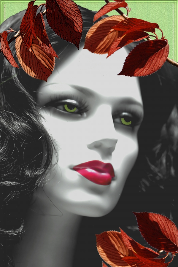 Creation of Seeing through the fall.: Step 6