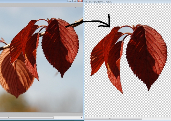 Creation of Tree Twig Dancers: Step 2