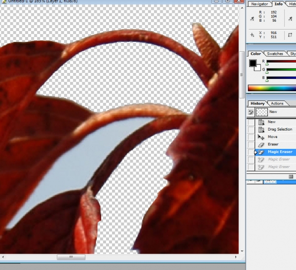 Creation of Tree Twig Dancers: Step 3