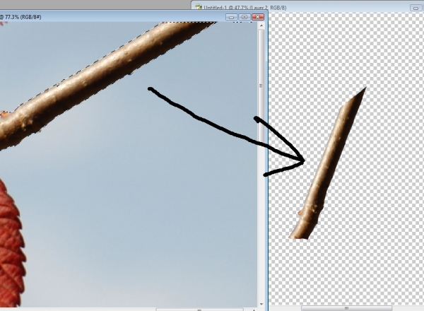 Creation of Tree Twig Dancers: Step 4