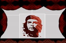 Che Guevara Picture
