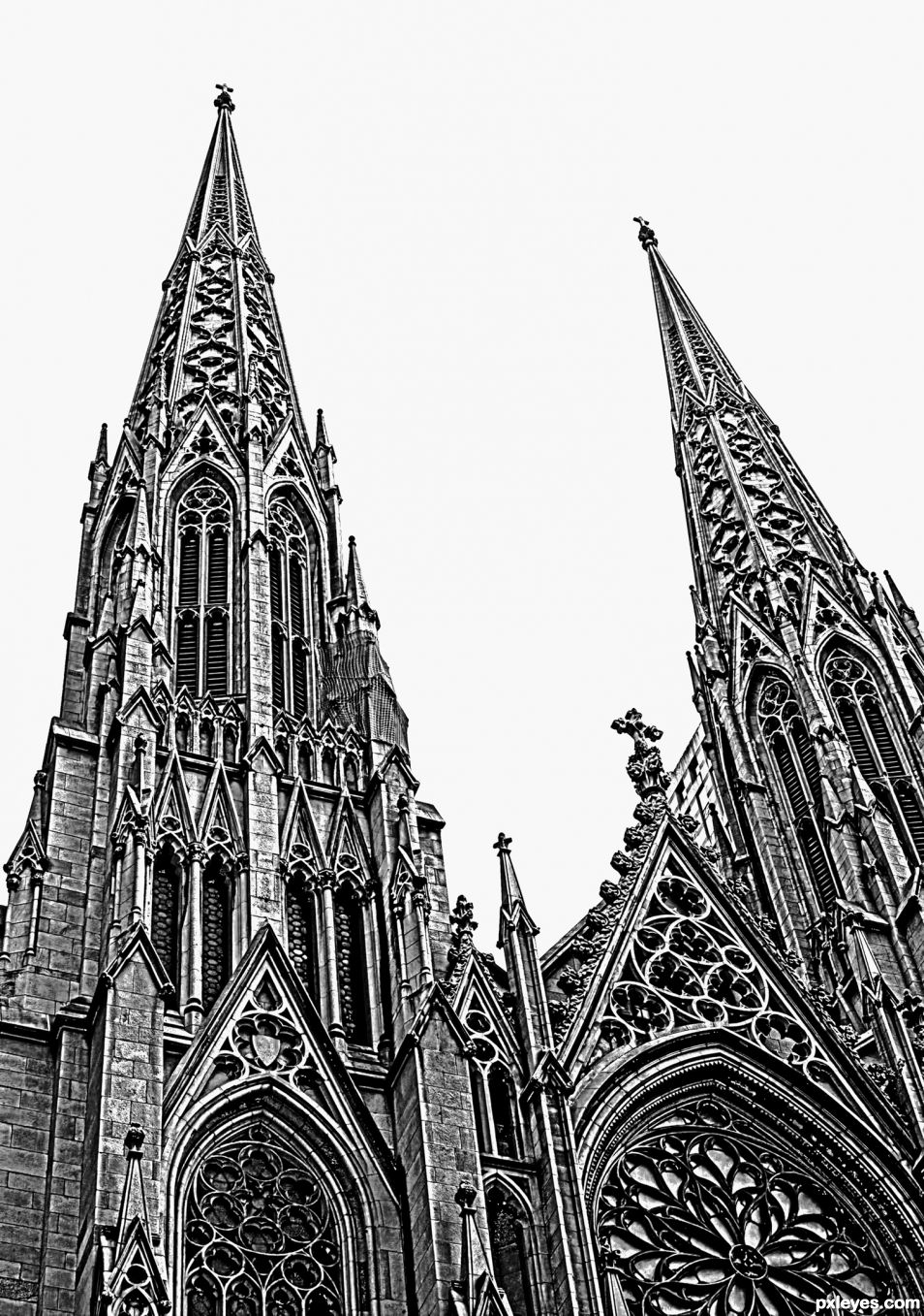 Saint Patricks Cathedral