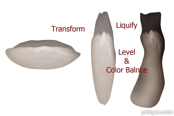 Creation of Butterfly Princess: Step 5