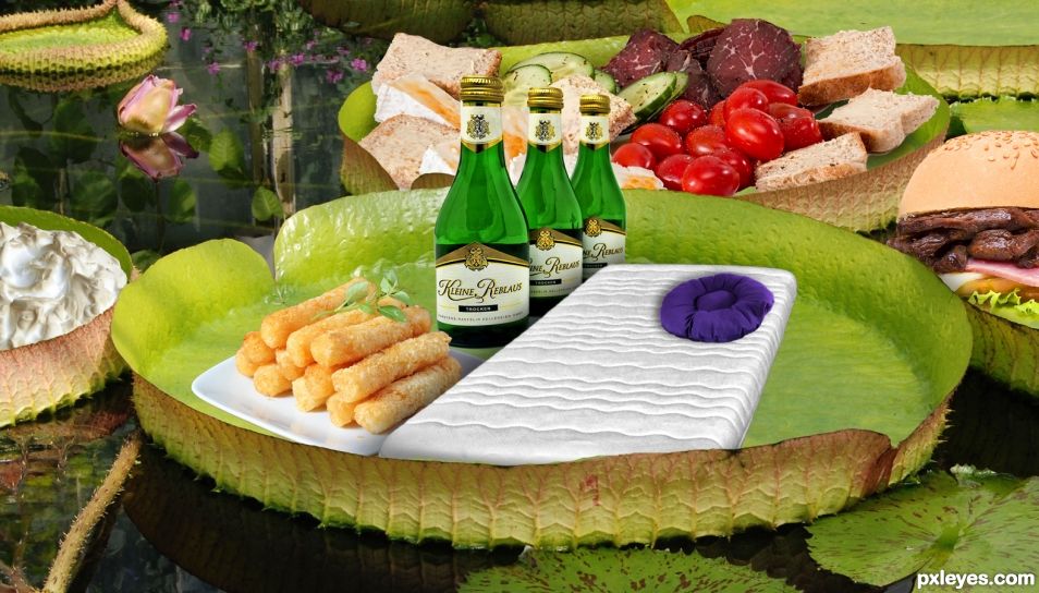 Snack Bed on a Lily Pad