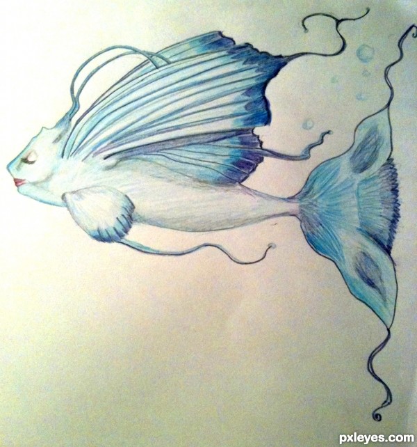 Creation of Butterfly Fish: Final Result