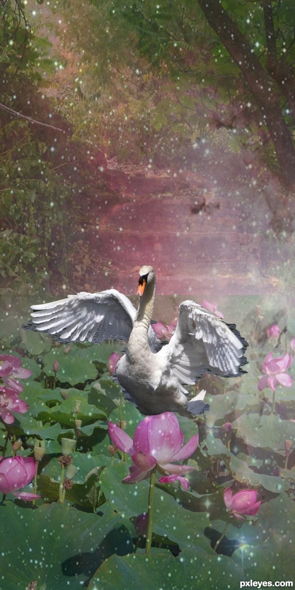 Creation of Dreamy Water Garden: Step 7