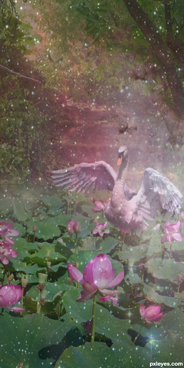 Creation of Dreamy Water Garden: Step 8