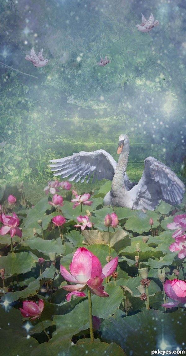 Creation of Dreamy Water Garden: Step 9