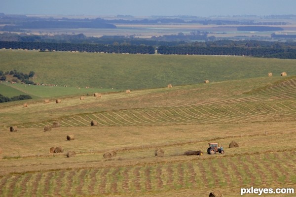 Baling hay