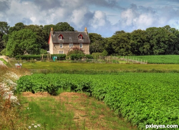 Earnhill Farm