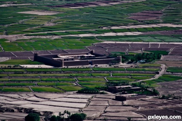 Farm Fields in Afghanistan