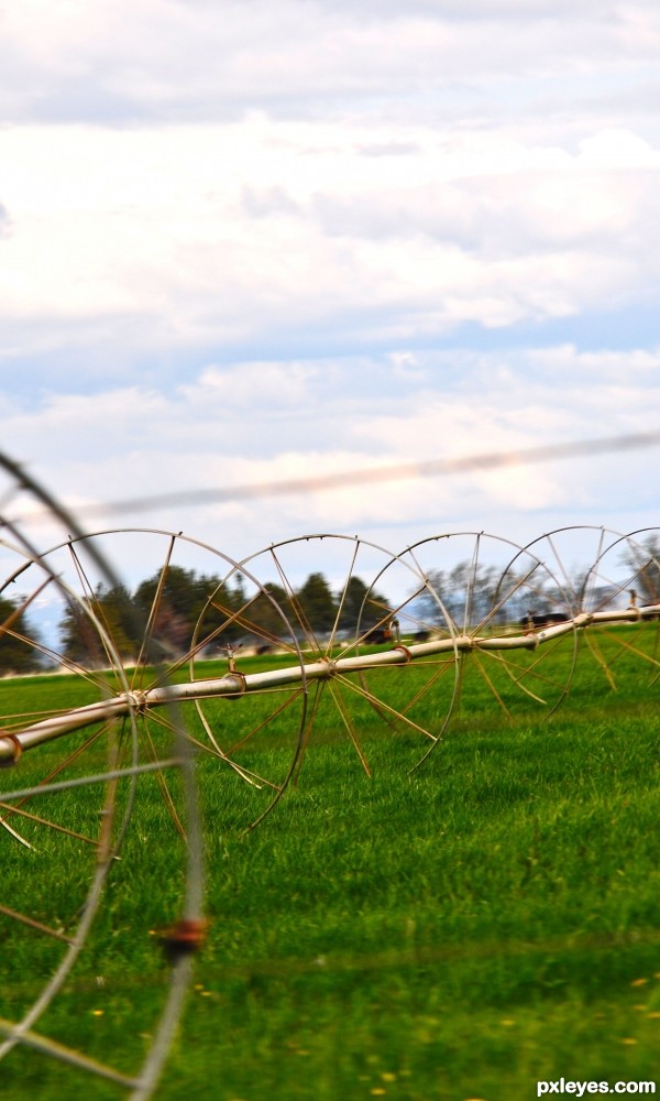 Farmland symmetry