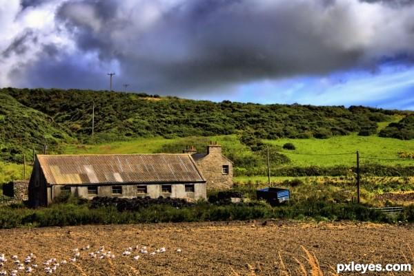 Lonely Farm